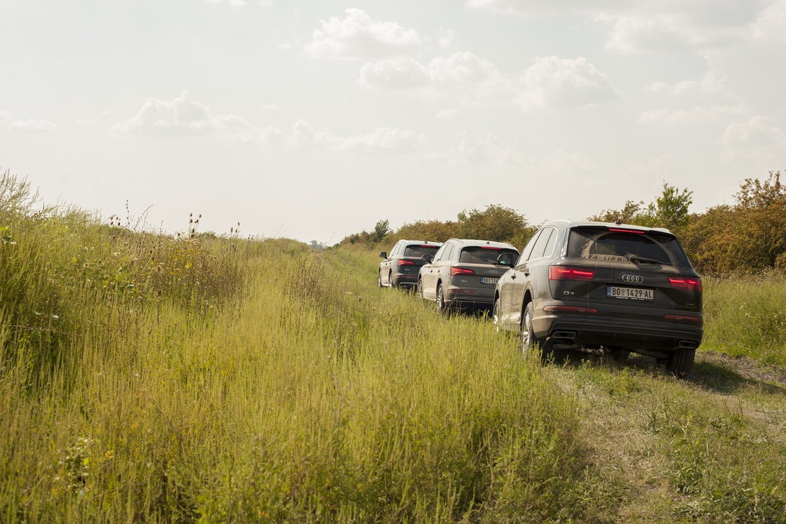 Audi A6 - Golf centar Žabalj