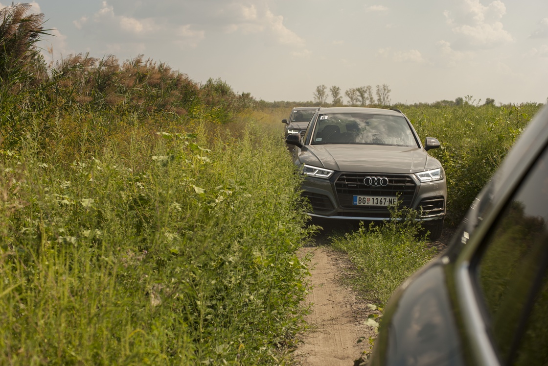 Audi A6 - Golf centar Žabalj